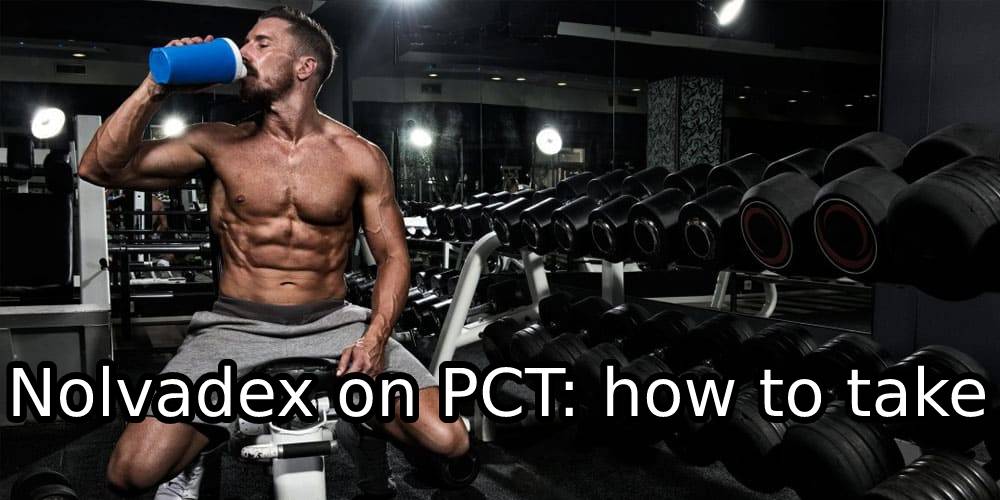 Nolvadex on PCT: how to take